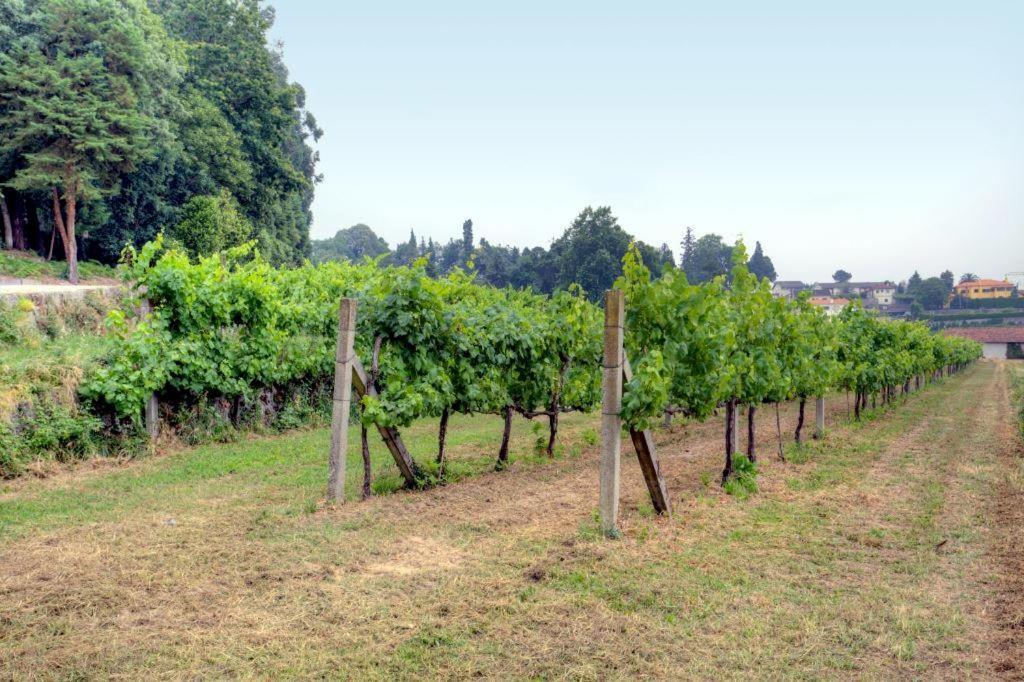 Вилла Quinta Da Tapada Лозада Экстерьер фото